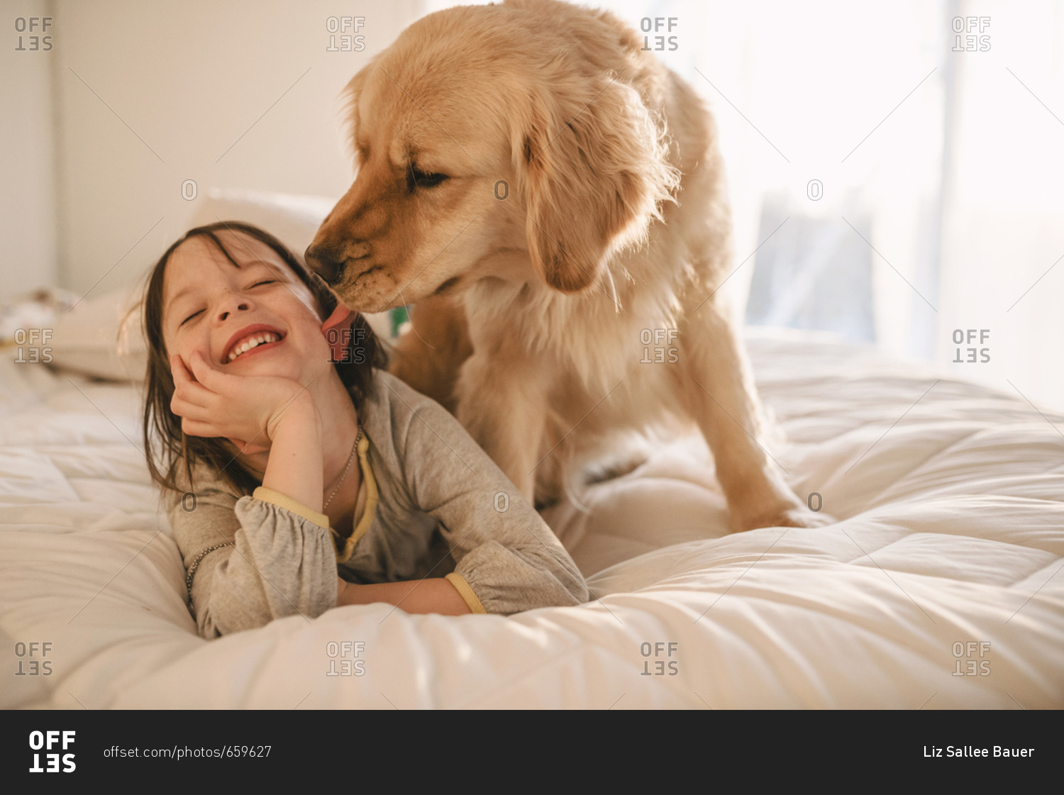 why do dogs lick beds