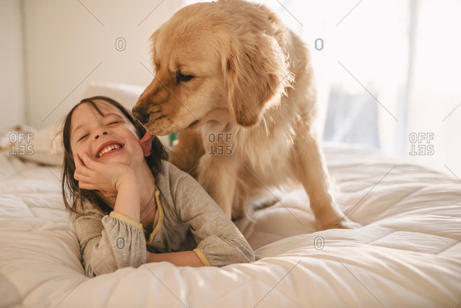 Dog Licking Little Girl On A Bed Stock Photo Offset