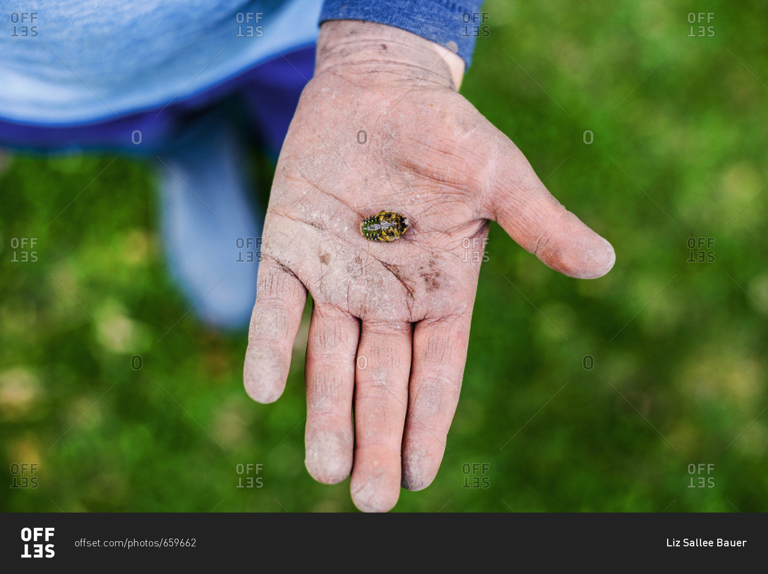Young boy holding a bug