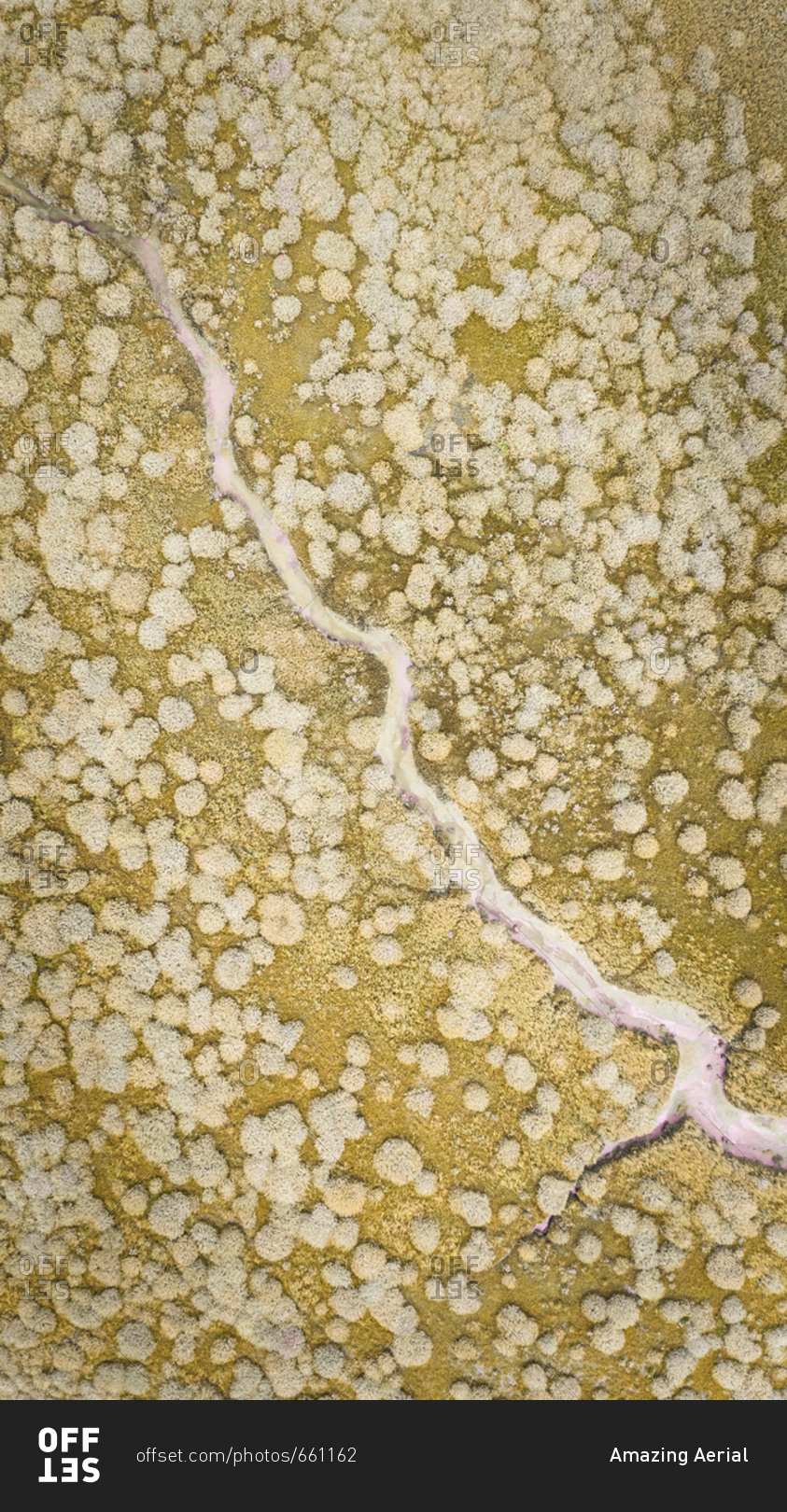 Abstract aerial view of Terschelling wetlands in The Netherlands.