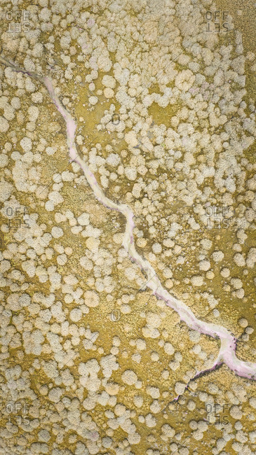 Abstract aerial view of Terschelling wetlands in The Netherlands.