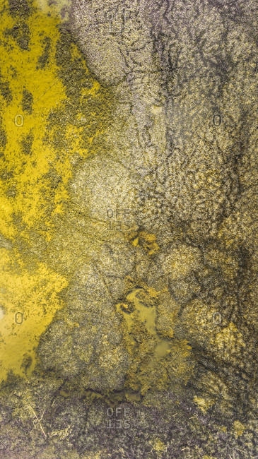 Abstract aerial view of Terschelling wetlands in the Netherlands.