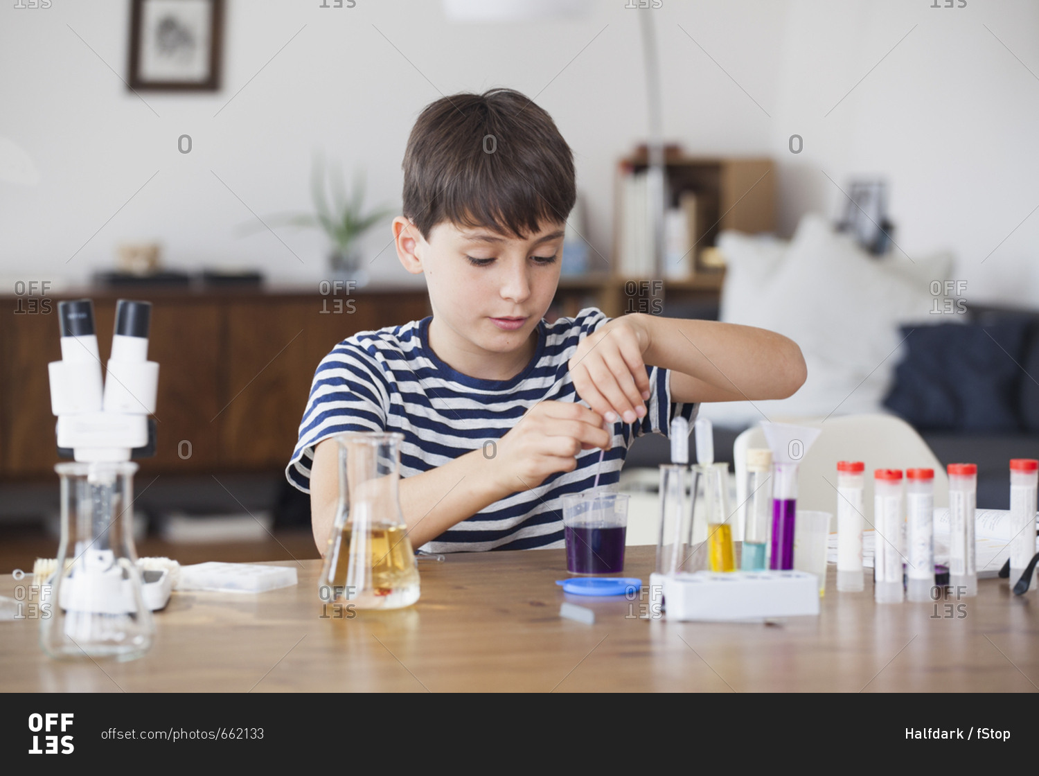 Boy concentrating on school science project at table
