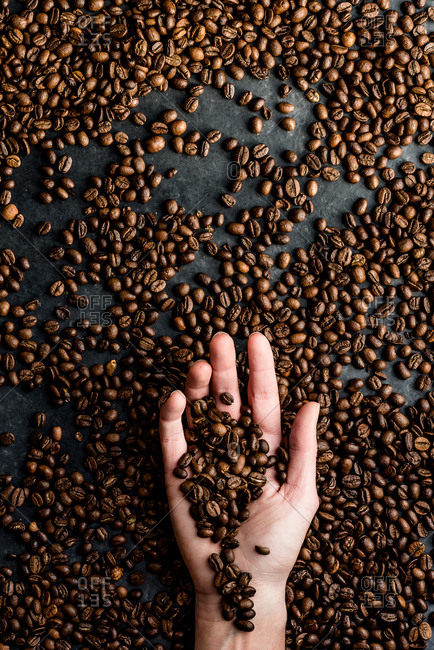 Person holding coffee beans