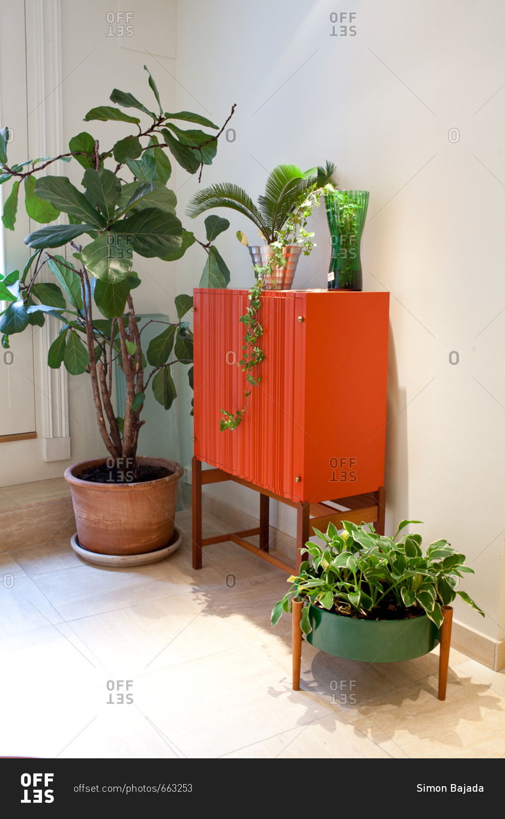 Red cabinet and plants in a home improvement store