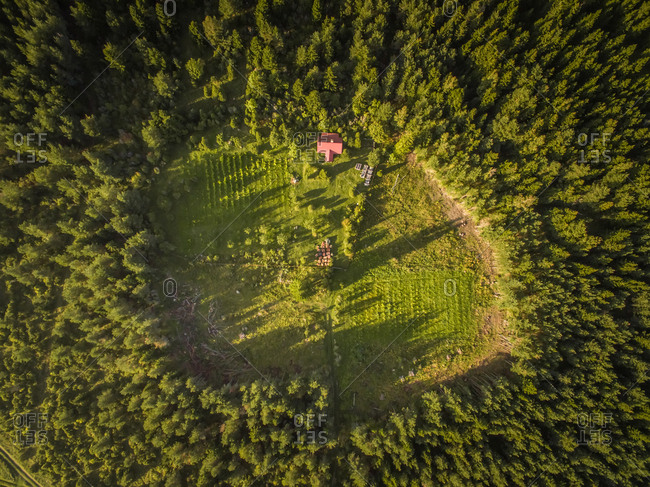 Aerial view of a farmland property isolated in the middle of the forest in Estonia