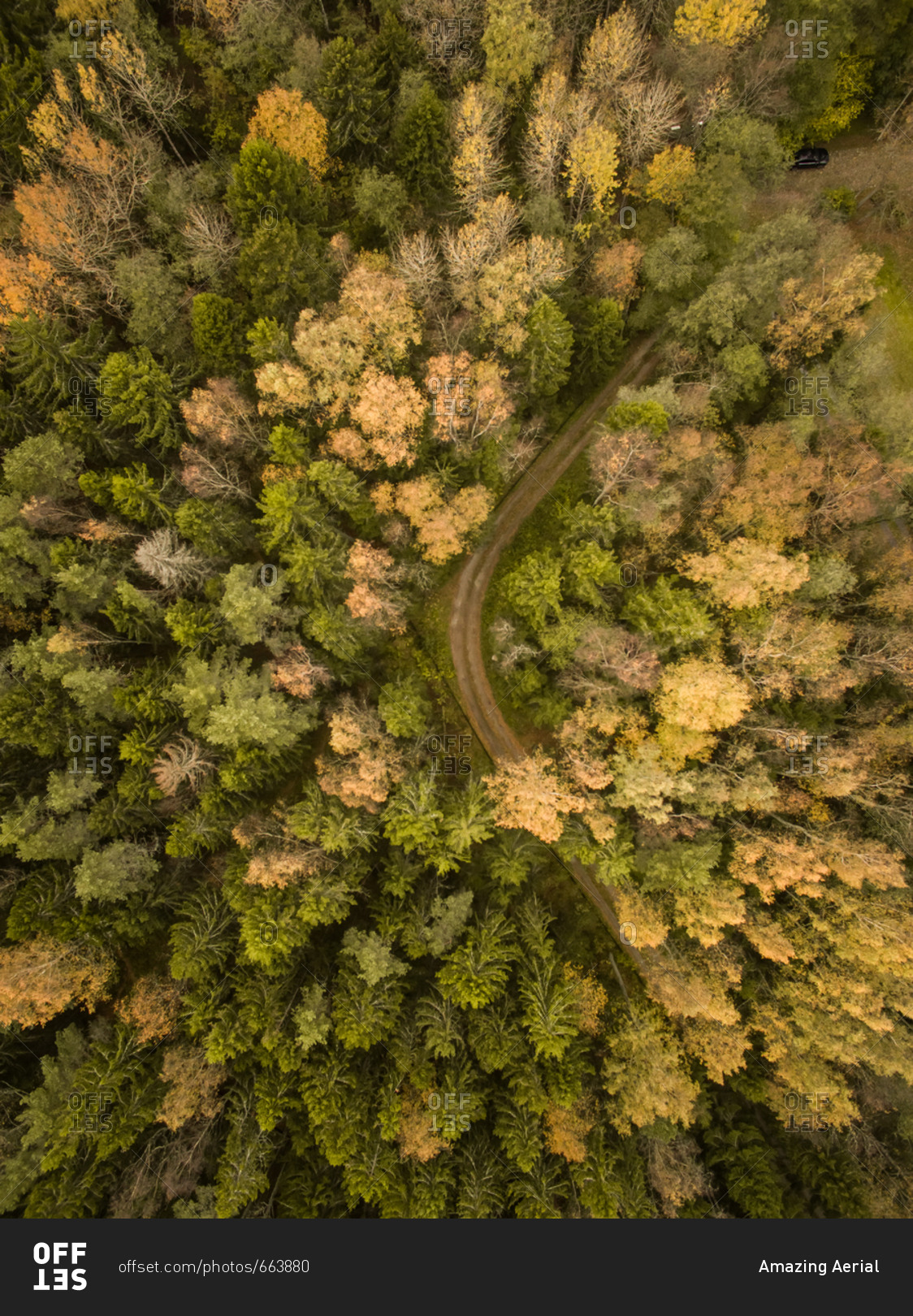 Aerial view of a curvy empty road crossing a colorful forest in Estonia