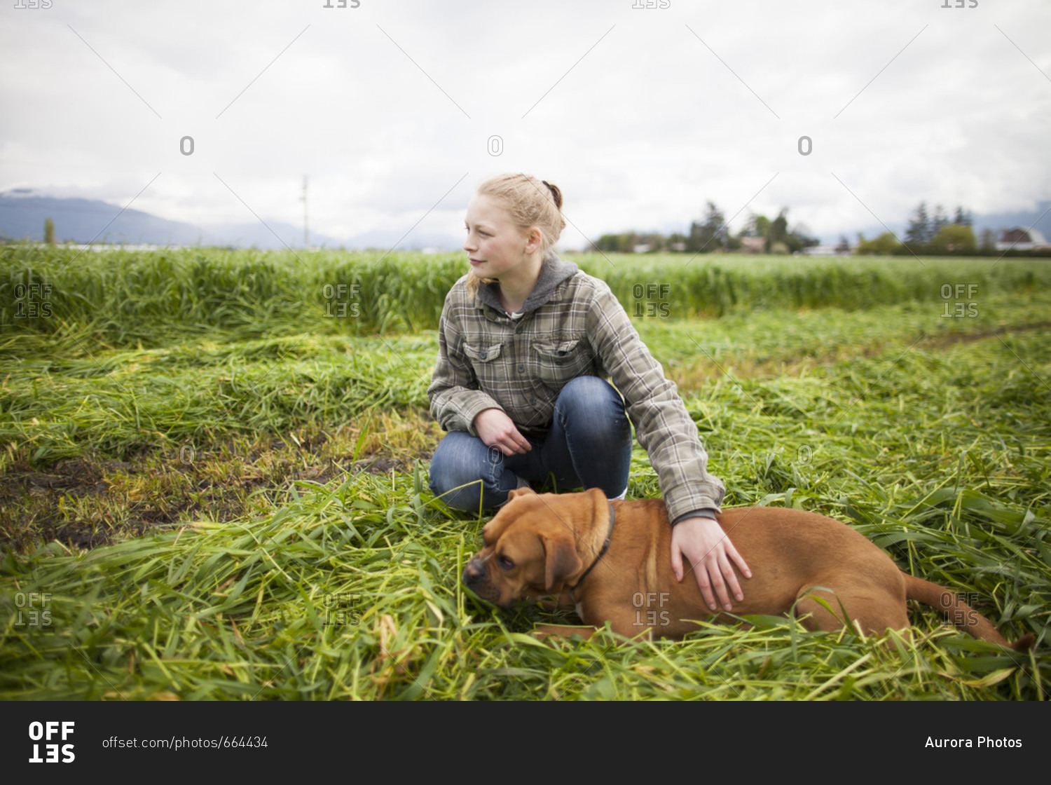 Teenage girl crouching and petting dog in freshly cut field, Chilliwack, British Columbia, Canada