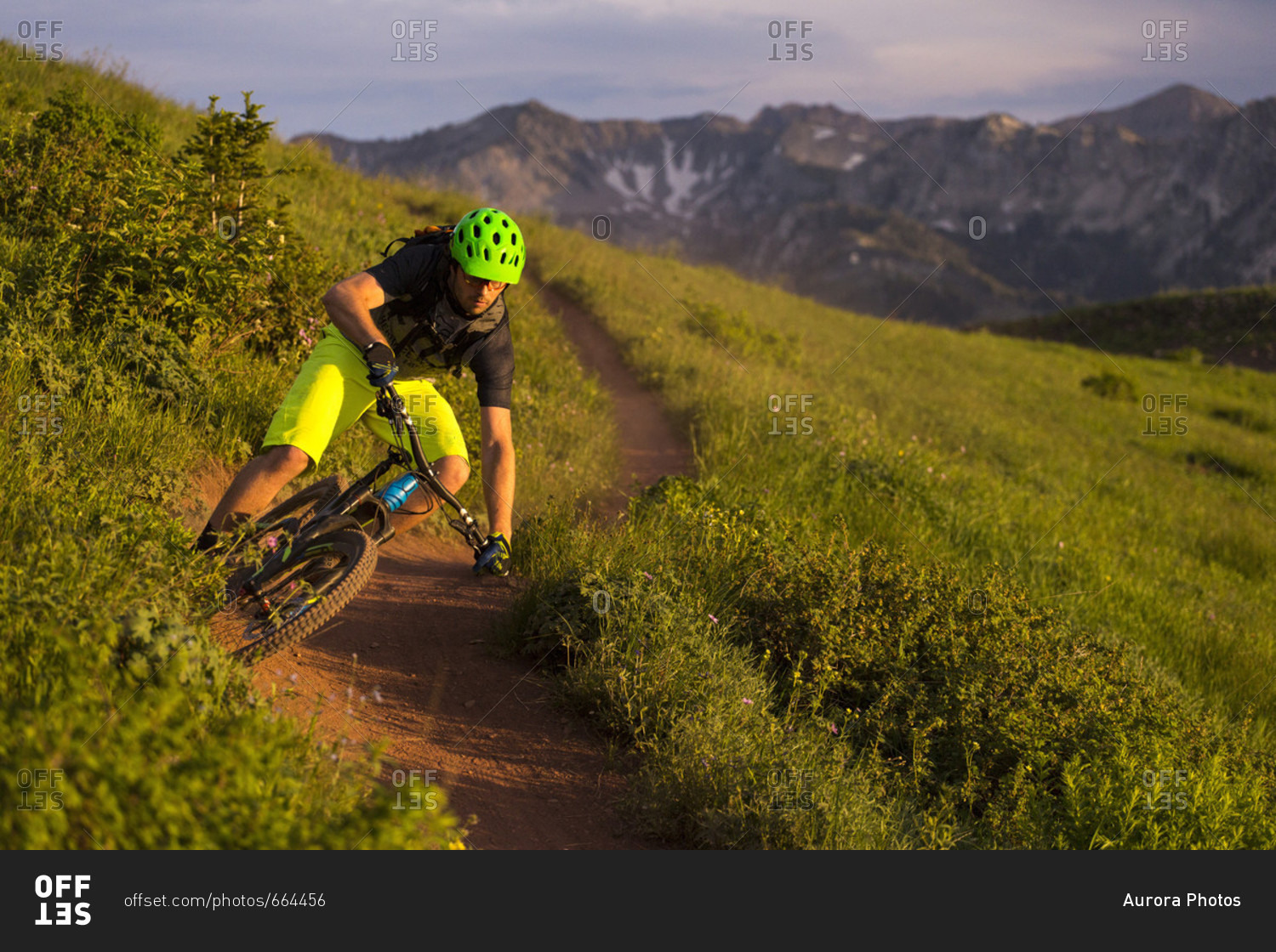 Mountain biking outside Salt Lake City in Wasatch Mountains, Utah, USA