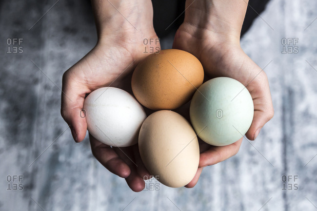 Different eggs- white- brown- light brown and green eggs