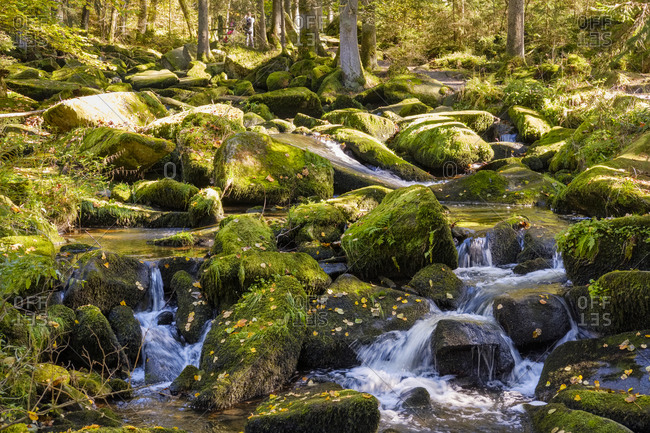 Germany- Bavaria- Saussbach gorge near Waldkirchen
