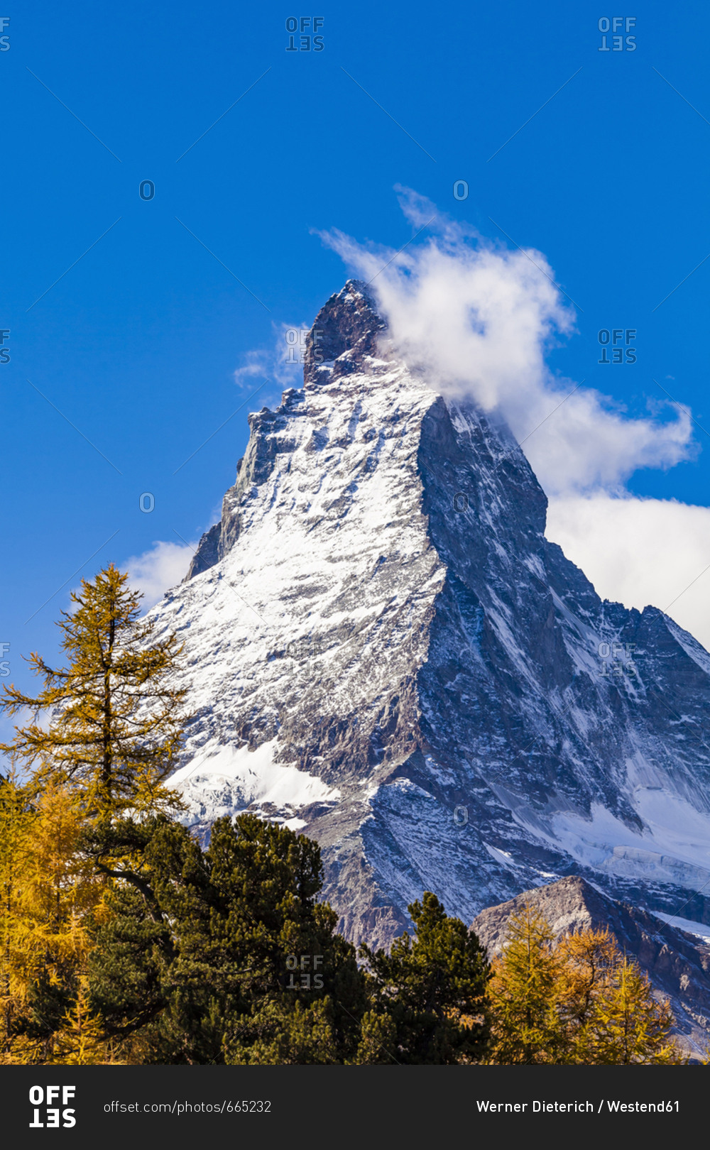 Switzerland- Valais- Zermatt- Matterhorn- trees in autumn