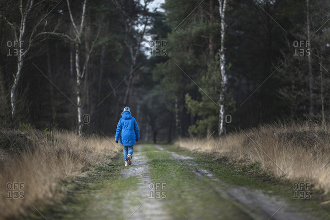 Woman in blue jacket and woolen cap hiking on dirt road in nature reserve, rear view