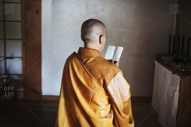 Rear view of Buddhist monk with shaved head wearing golden robe sitting indoors in a temple, holding prayer text