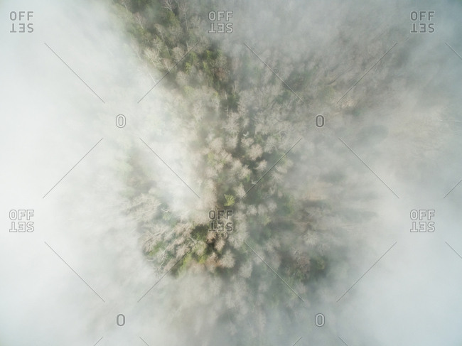 Aerial view of a misty forest in Estonia