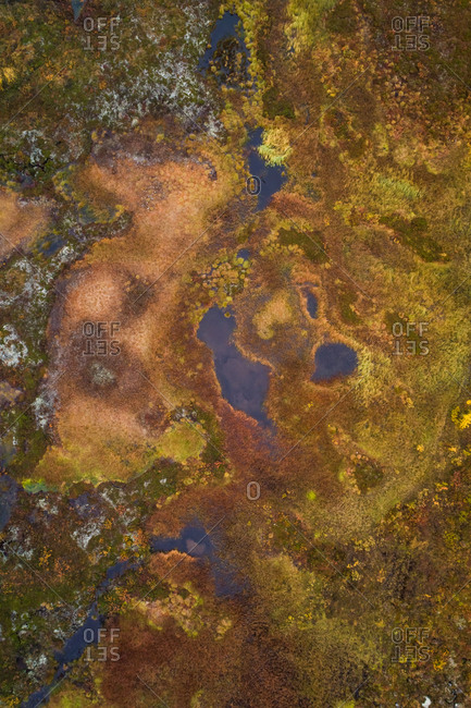 Aerial view of beautiful abstract landscape in the reserve of Kasivarsi Wilderness Area in Finland