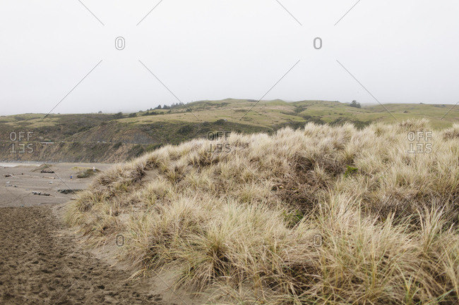 Northern California pacific coast