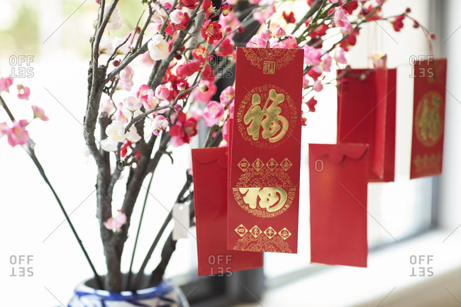 Gold Plum Blossoms Chinese New Year Red Envelopes, Pack of 16