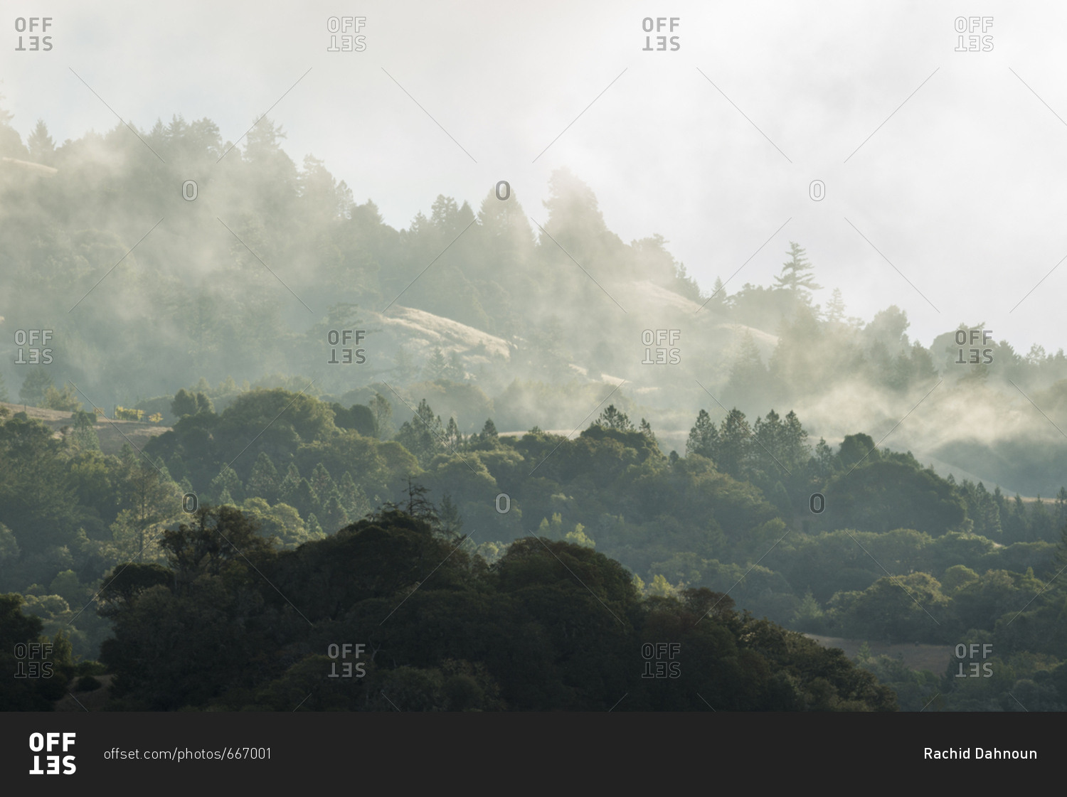 Morning fog rolling through the hills in Anderson Valley Wine Country in Mendocino County, California