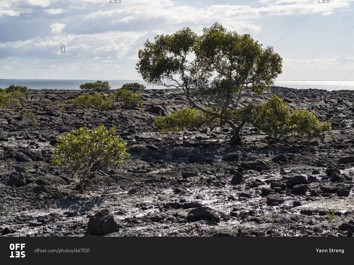 Rock formations along the coast in Hervey Bay, Australia