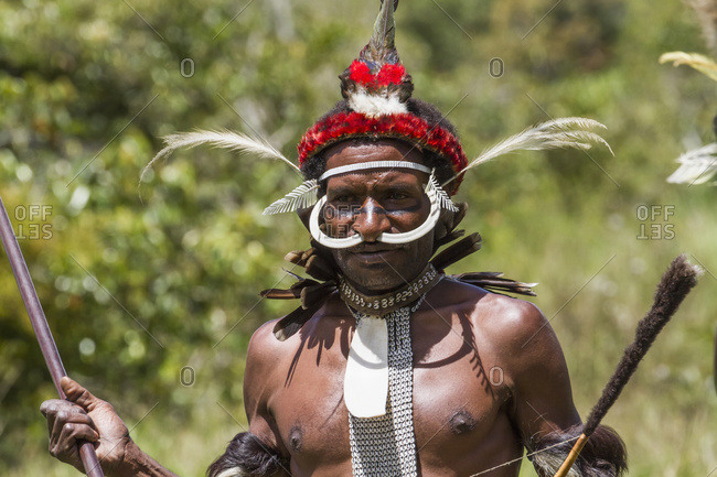 October 4, 2013: Dani Man Wearing Bones On His Nose And An Elaborate Headdress Of Bird Of Paradise Or Cassowary Feathers, Obia Village, Baliem Valley, Central Highlands Of Western New Guinea, Papua, Indonesia