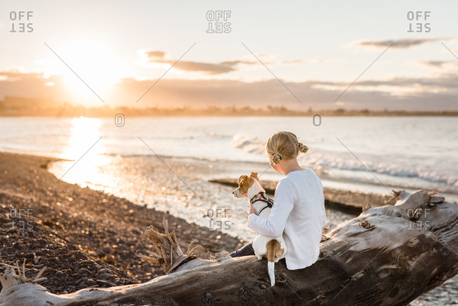 Young girl and her dog watching the sunset sitting on log at the beach
