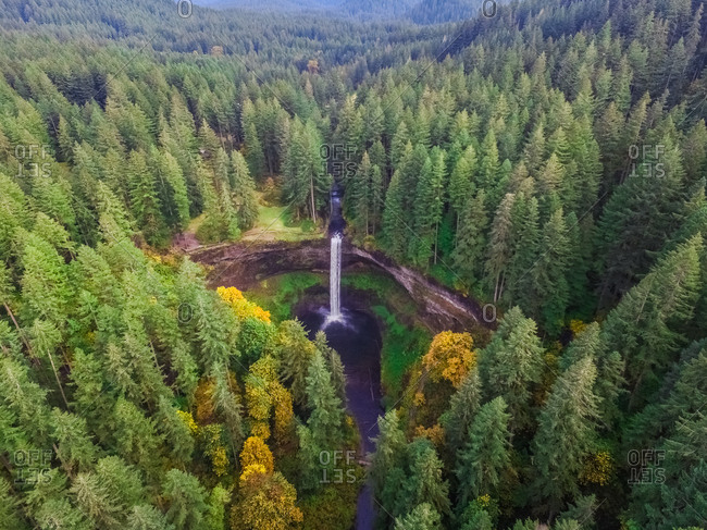 Aerial View Of Silver Falls State Park In Oregon Usa Stock Photo Offset