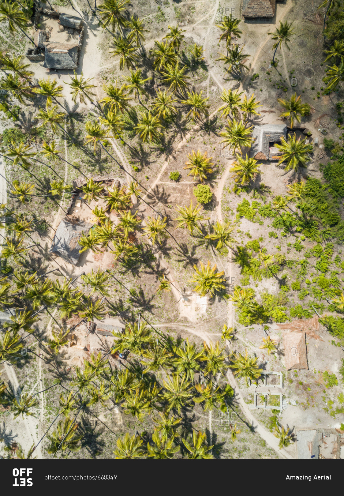 Aerial view of houses and palm trees on Mafia Island, Tanzania.