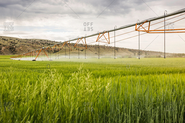 Irrigating agricultural land, Montana, US