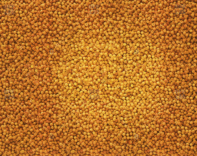 Overhead view of large number of apricots