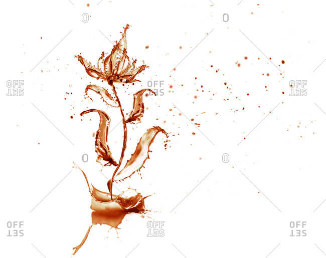 Abstract flower made out of liquid splash captures