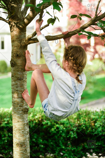 Girl climbing a tree