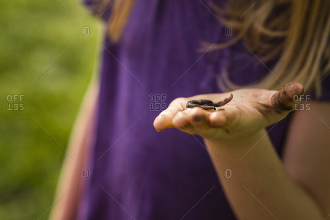Child holding a worm