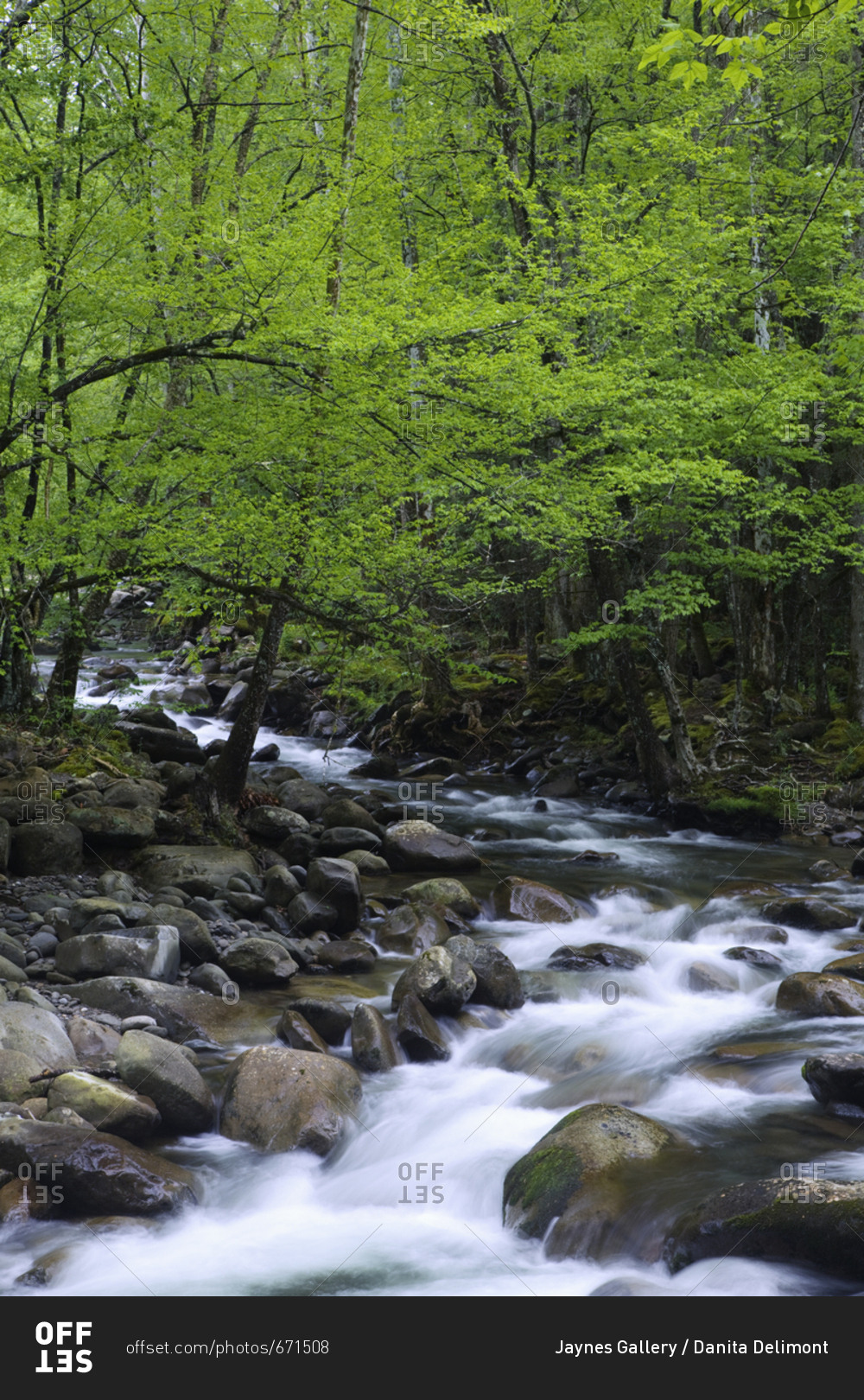 USA, Tennessee, Great Smoky Mountains National Park, Creek cascade landscape