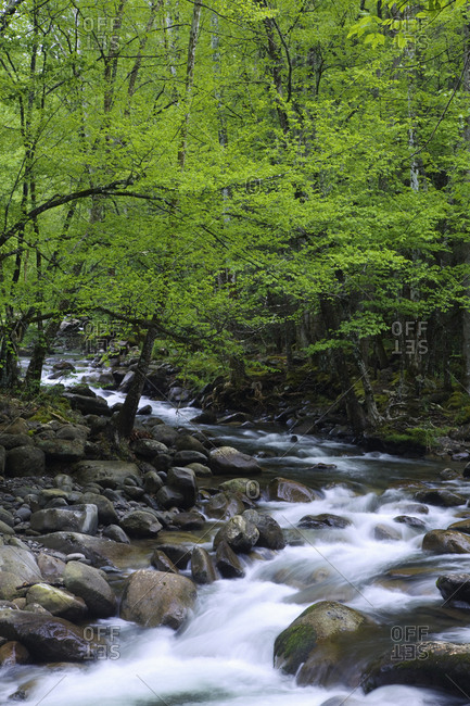 USA, Tennessee, Great Smoky Mountains National Park, Creek cascade landscape