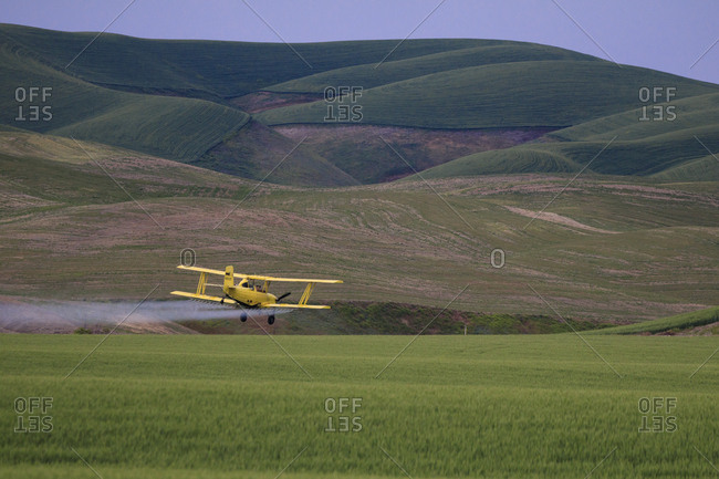 Walla Walla, Washington State, USA, Crop duster maintaining the wheat fields of northern Walla Wall County
