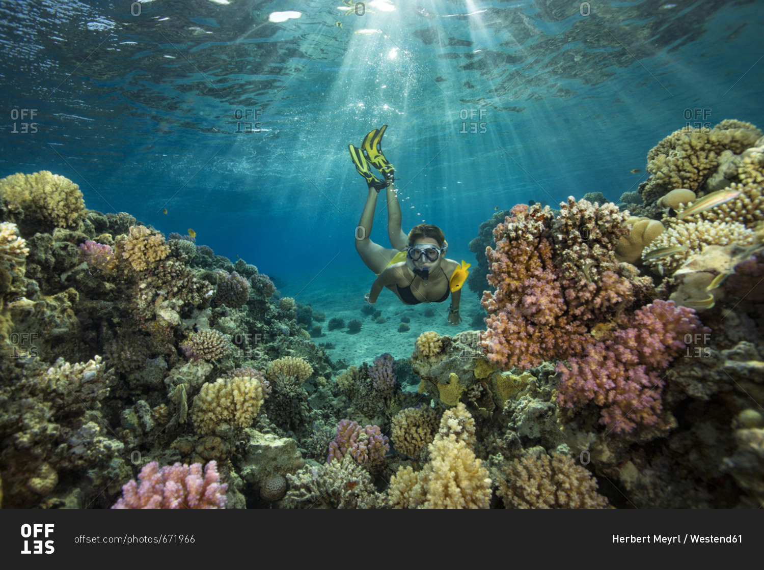 Egypt- Red Sea- Hurghada- teenage girl snorkeling at coral reef