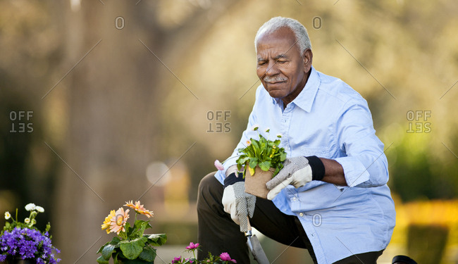 Senior man tending to his pot plants in the garden