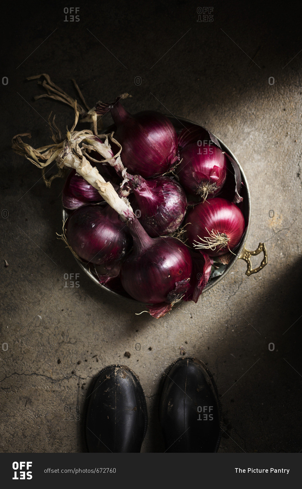 Basket of red onions on grey background country scene