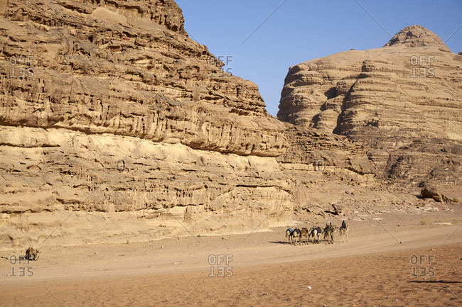 Zalabia Bedouin leading a group of camels in Wadi Rum (The Valley of the Moon), a protected desert wilderness in Jordan