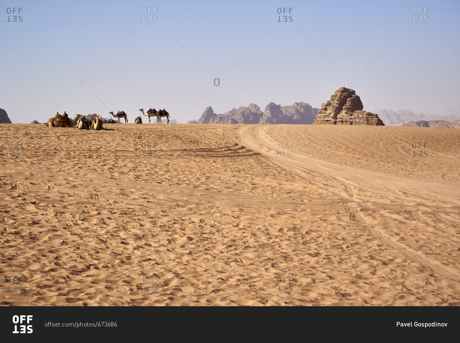 Group of camels in Wadi Rum (The Valley of the Moon), a protected desert wilderness in Jordan