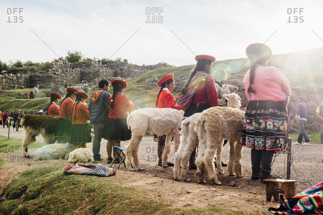 Cuzco, Peru - November 21, 2017: Inca women in traditional dress with llamas from behind