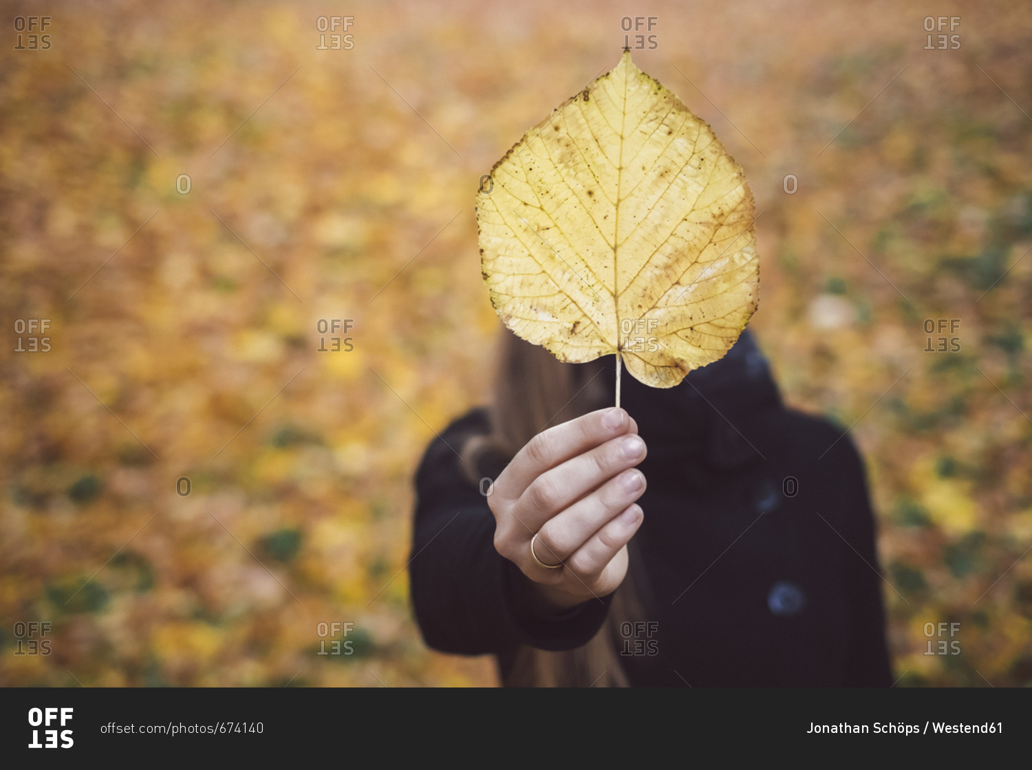 Woman's hand holding yellow autumn leaf- close-up