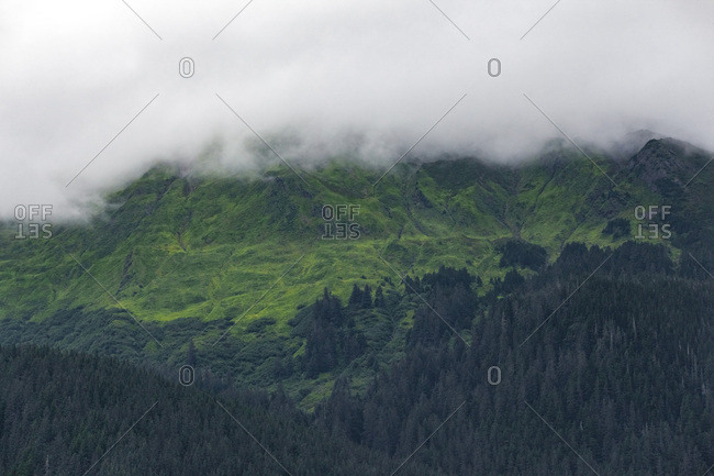 USA- Alaska- Juneau- Auke Bay- Forest and clouds