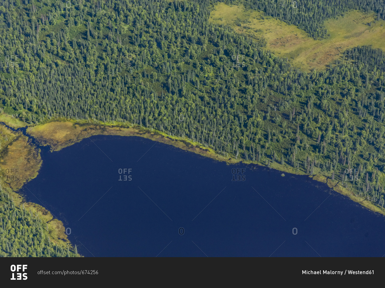 USA- Alaska- Talkeetna: Aerial view of river and forest landscape