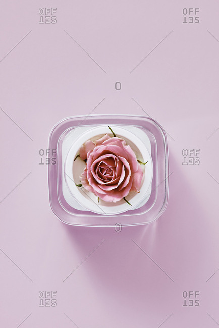 Rose in beauty product container