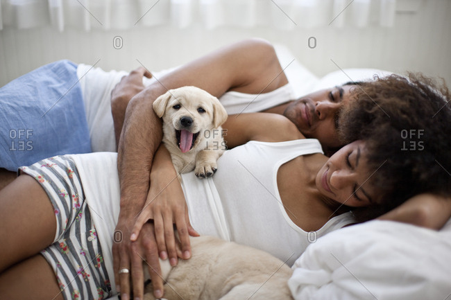 Affectionate couple sleeping on bed with Labrador puppies.
