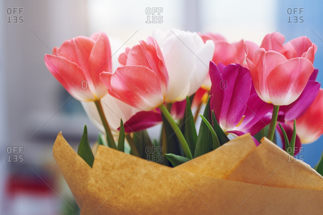 Tulip flowers in wrapping paper