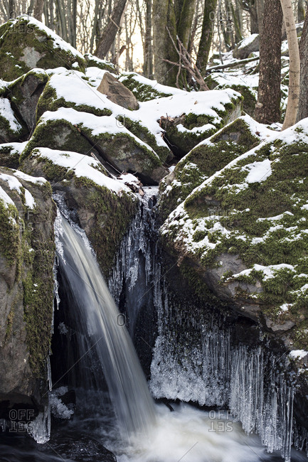 Water flowing over rocks and icicles in nature reserve in Sweden