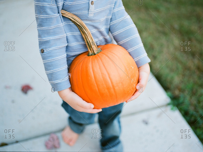 Little boy straining to carry a large pumpkin